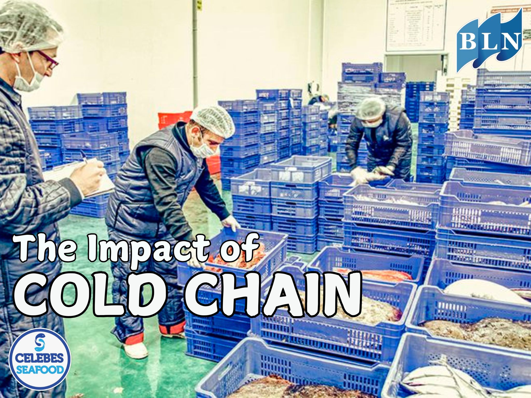 The Impact of Cold Chain on Global Quality Sustainability